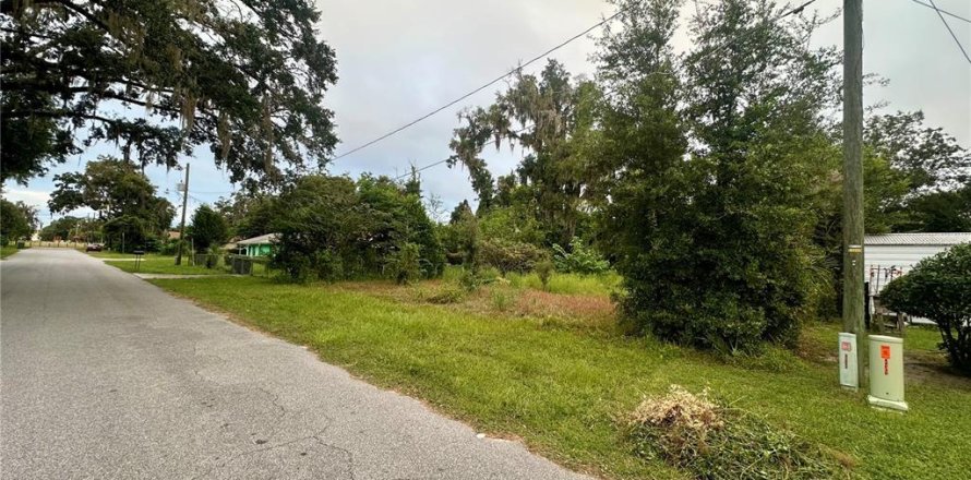Land in Ocala, Florida № 2393746