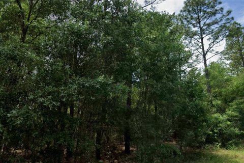 Land in Citrus Springs, Florida № 2162475 - photo 2