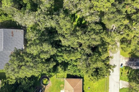 Land in Inverness, Florida № 2373544 - photo 9