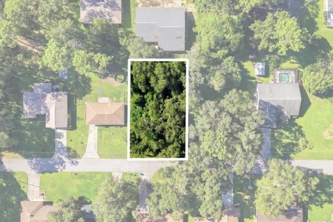 Land in Inverness, Florida № 2373544