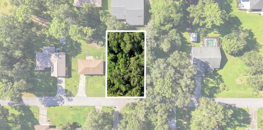 Land in Inverness, Florida № 2373544