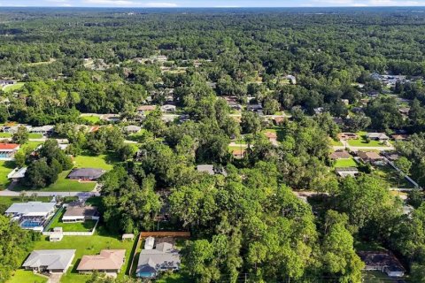 Land in Inverness, Florida № 2373544 - photo 13