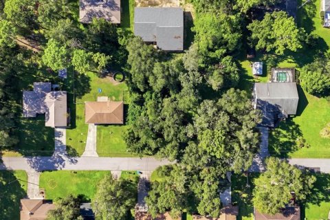 Land in Inverness, Florida № 2373544 - photo 7