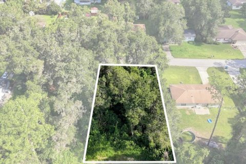 Land in Inverness, Florida № 2373544 - photo 3