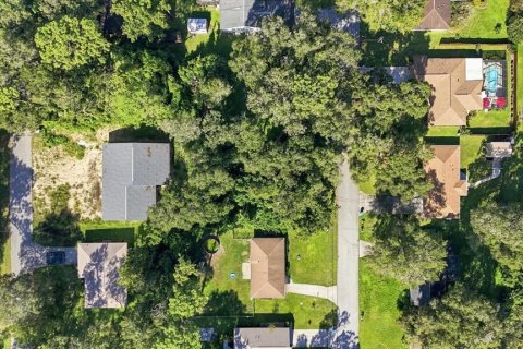 Land in Inverness, Florida № 2373544 - photo 8