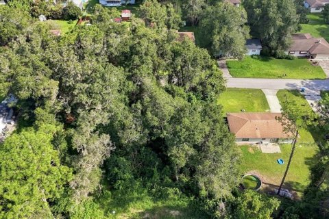Land in Inverness, Florida № 2373544 - photo 6