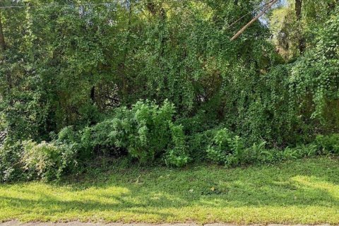 Land in Inverness, Florida № 2373544 - photo 4