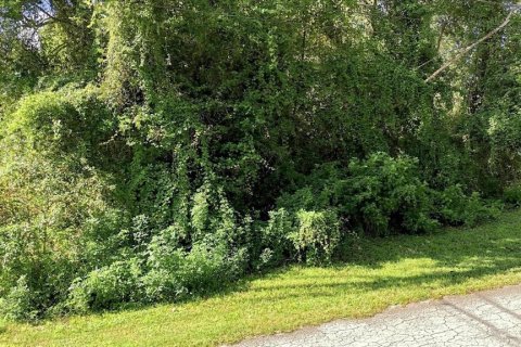 Land in Inverness, Florida № 2373544 - photo 5
