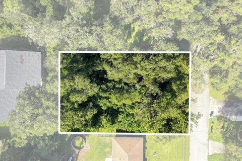 Land in Inverness, Florida № 2373544 - photo 2