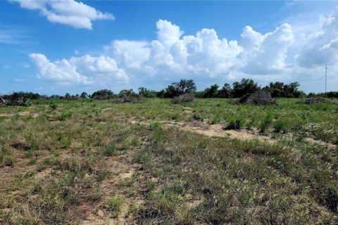 Land in Avon Park, Florida № 1790080 - photo 2