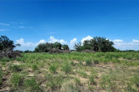 Land in Avon Park, Florida № 1790080 - photo 3