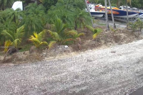Terreno en venta en Homestead, Florida № 2153751 - foto 7