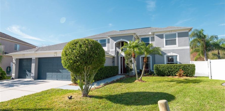 House in Wesley Chapel, Florida 5 bedrooms, 416.3 sq.m. № 1513770