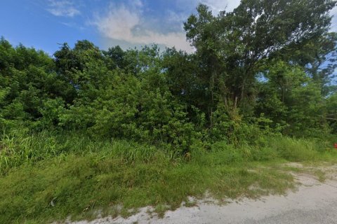 Land in St. Lucie, Florida № 2117053 - photo 2