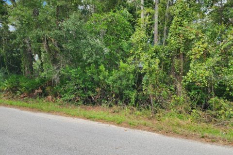 Terrain à vendre à New Port Richey, Floride № 2164735 - photo 4