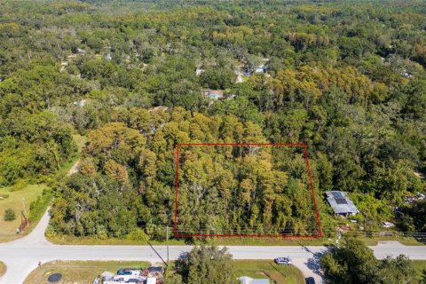 Terrain à New Port Richey, Floride № 2164735