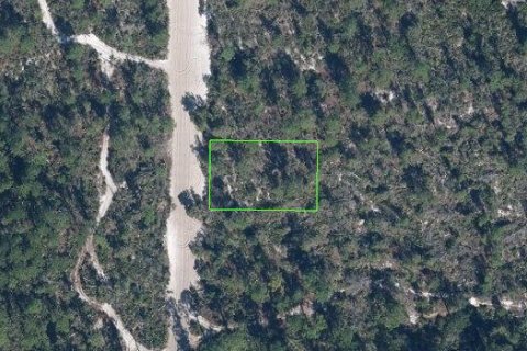 Commercial property in Sebring, Florida № 2256426