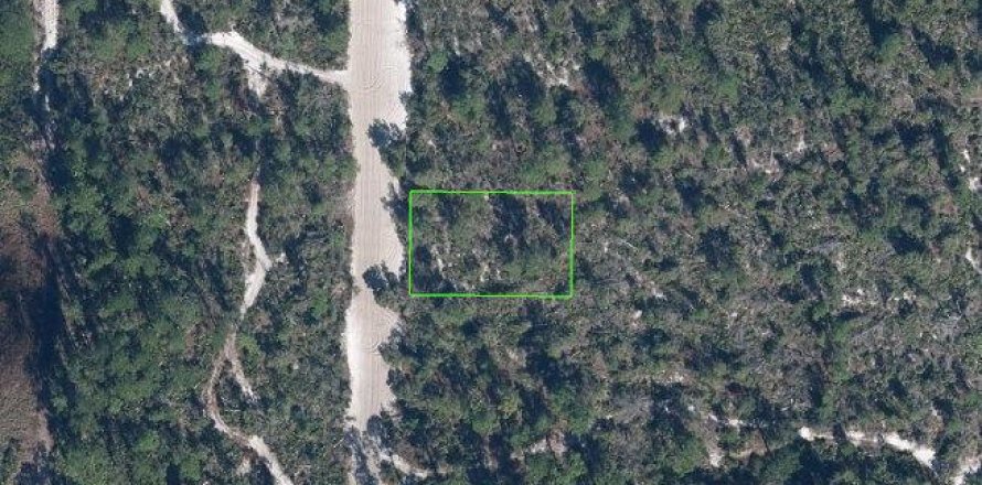 Commercial property in Sebring, Florida № 2256426