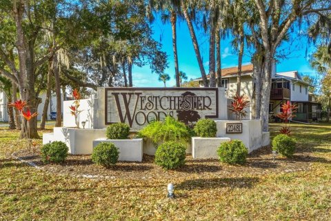 Condominio en Punta Gorda, Florida, 2 dormitorios  № 2094377