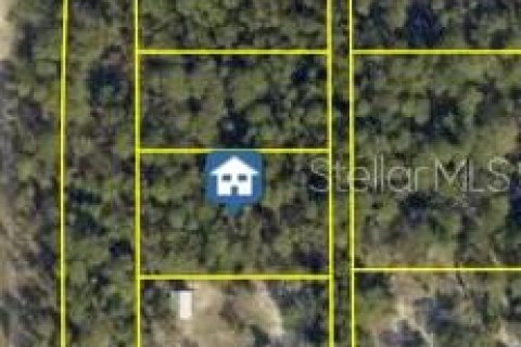 Land in Brooksville, Florida № 2355105