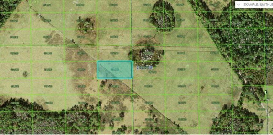 Terrain à Polk City, Floride № 2235131