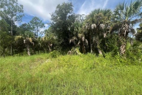 Land in Port Charlotte, Florida № 2159102
