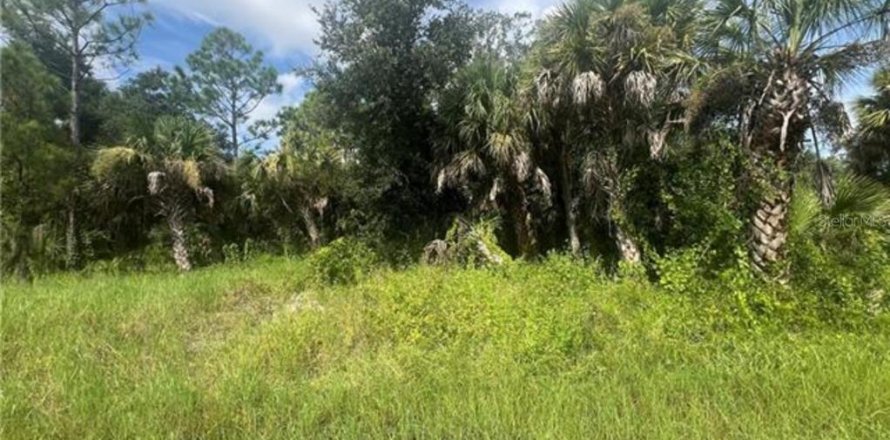 Land in Port Charlotte, Florida № 2159102