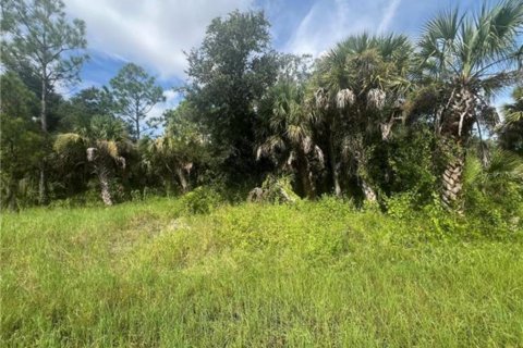 Land in Port Charlotte, Florida № 2159102 - photo 3