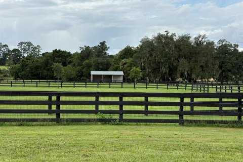 Terreno en venta en Ocala, Florida № 2347702 - foto 3