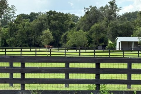 Terreno en Ocala, Florida № 2347702