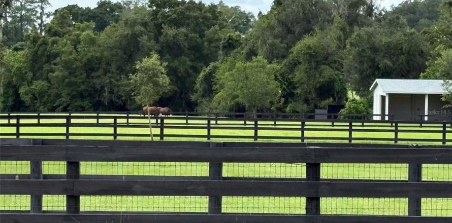 Terreno en Ocala, Florida № 2347702