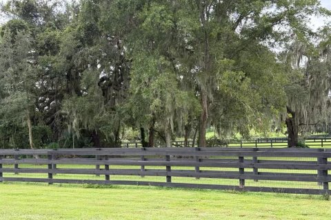 Terreno en venta en Ocala, Florida № 2347702 - foto 4