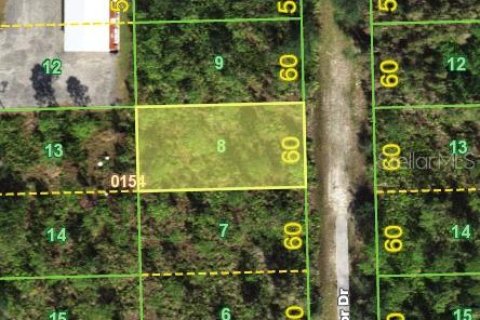 Terrain à vendre à Punta Gorda, Floride № 2232818 - photo 6