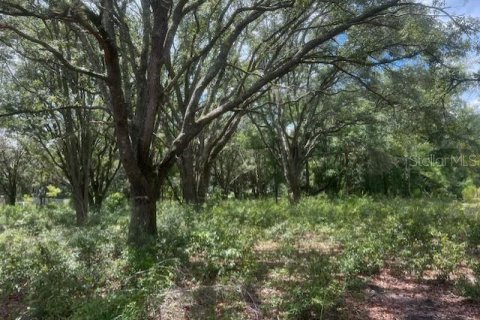 Land in Bell, Florida № 1879221 - photo 15