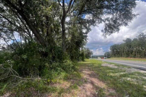 Land in Bell, Florida № 1879221 - photo 10