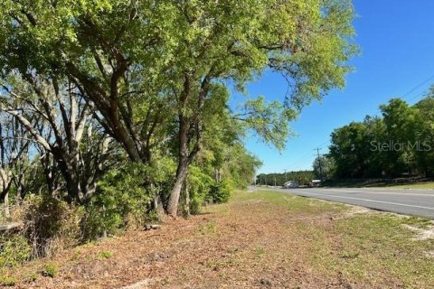 Land in Bell, Florida № 1879221 - photo 1