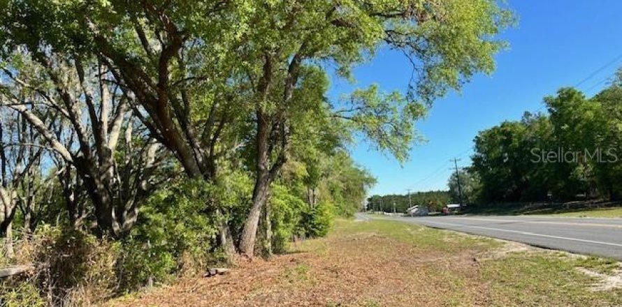 Land in Bell, Florida № 1879221