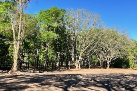 Land in Bell, Florida № 1879221 - photo 6