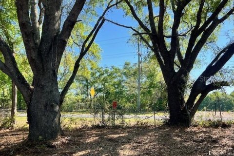 Land in Bell, Florida № 1879221 - photo 7