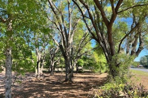 Land in Bell, Florida № 1879221 - photo 3