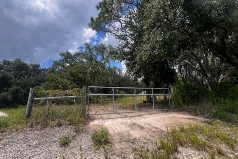 Land in Bell, Florida № 1879221 - photo 11