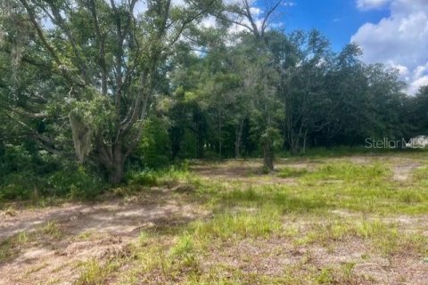 Land in Bell, Florida № 1879221 - photo 17