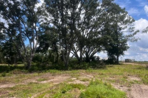 Land in Bell, Florida № 1879221 - photo 16