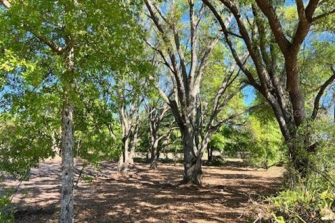 Land in Bell, Florida № 1879221 - photo 2