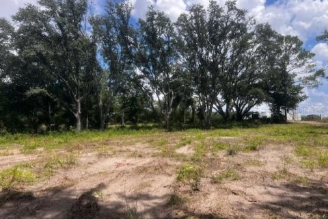 Land in Bell, Florida № 1879221 - photo 13