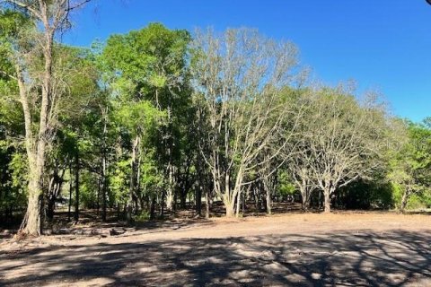 Land in Bell, Florida № 1879221 - photo 5