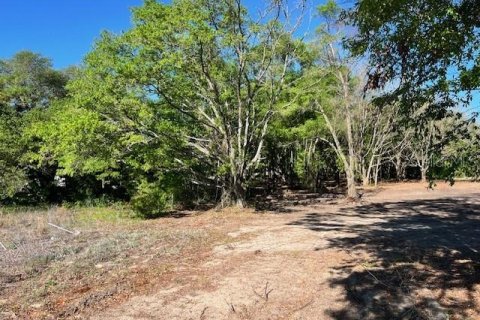 Land in Bell, Florida № 1879221 - photo 4
