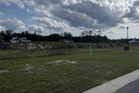 Villa ou maison à vendre à Newberry, Floride: 4 chambres, 293.57 m2 № 2136341 - photo 5