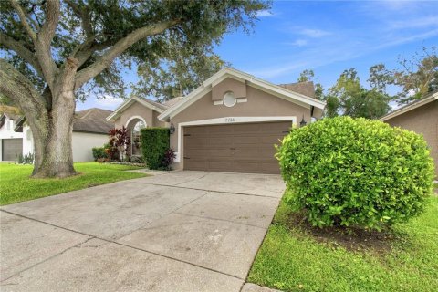 Villa ou maison à vendre à Tampa, Floride: 3 chambres, 156.26 m2 № 2291836 - photo 3