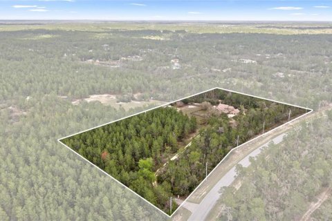 Villa ou maison à vendre à Dunnellon, Floride: 4 chambres, 363.25 m2 № 2098701 - photo 4
